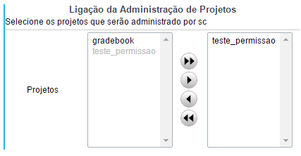 Definição dos administradores do projeto